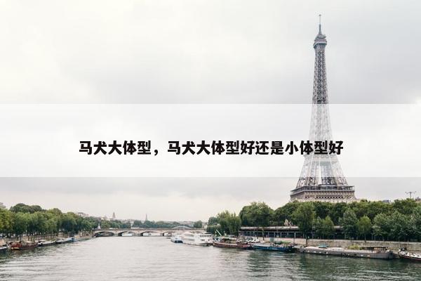 马犬大体型，马犬大体型好还是小体型好