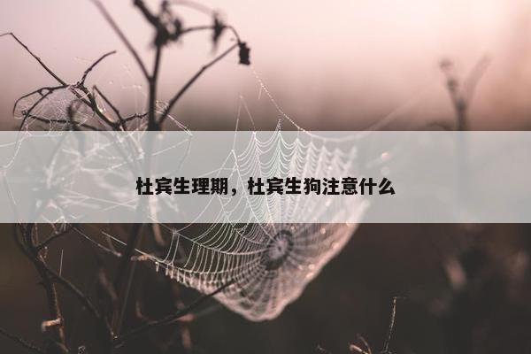 杜宾生理期，杜宾生狗注意什么