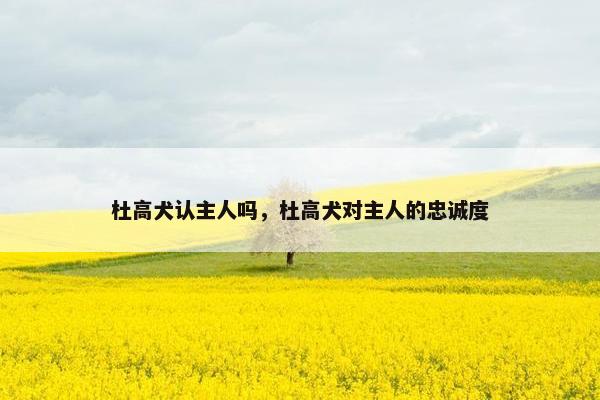 杜高犬认主人吗，杜高犬对主人的忠诚度