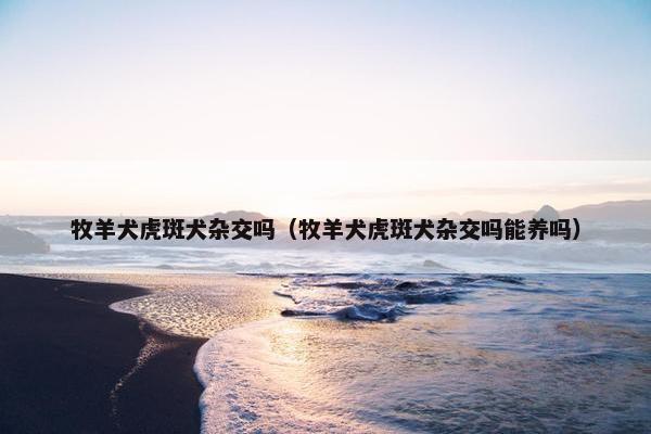 牧羊犬虎斑犬杂交吗（牧羊犬虎斑犬杂交吗能养吗）