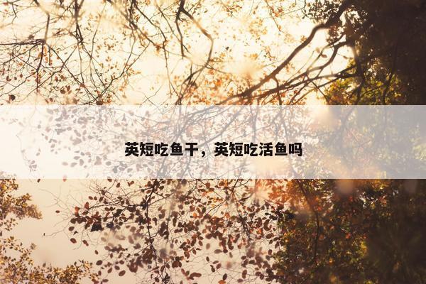英短吃鱼干，英短吃活鱼吗