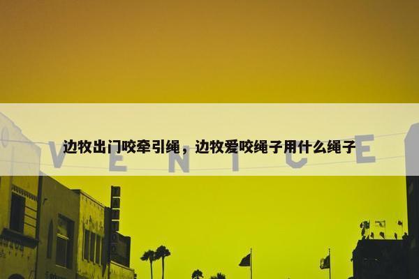 边牧出门咬牵引绳，边牧爱咬绳子用什么绳子