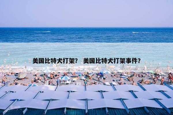 美国比特犬打架？ 美国比特犬打架事件？