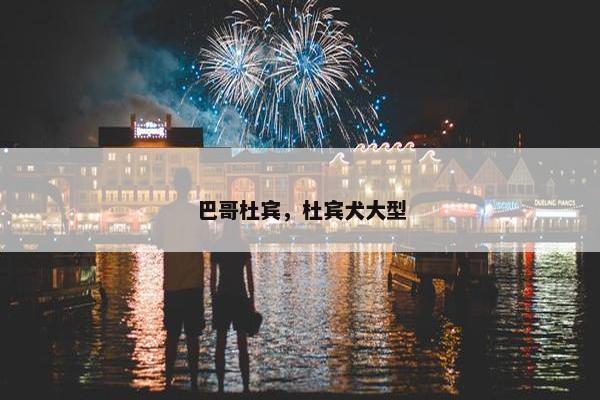 巴哥杜宾，杜宾犬大型