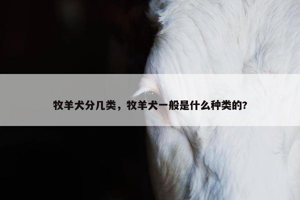牧羊犬分几类，牧羊犬一般是什么种类的?
