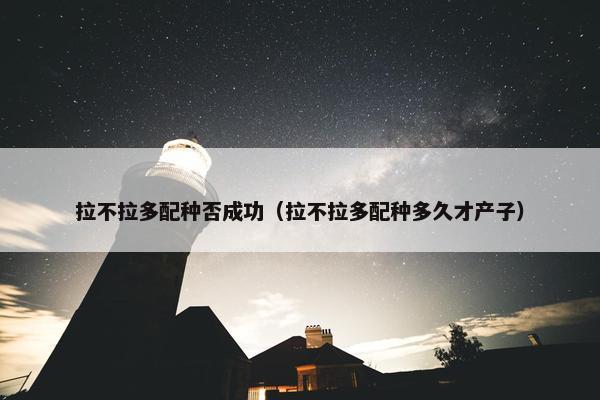 拉不拉多配种否成功（拉不拉多配种多久才产子）