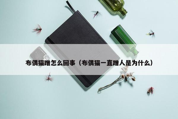布偶猫蹭怎么回事（布偶猫一直蹭人是为什么）