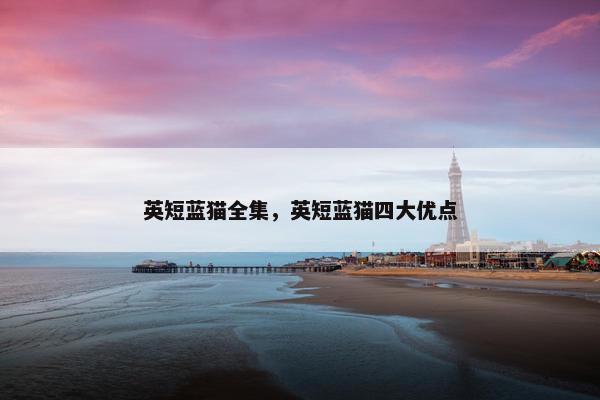 英短蓝猫全集，英短蓝猫四大优点