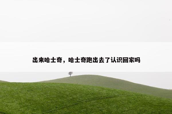 出来哈士奇，哈士奇跑出去了认识回家吗