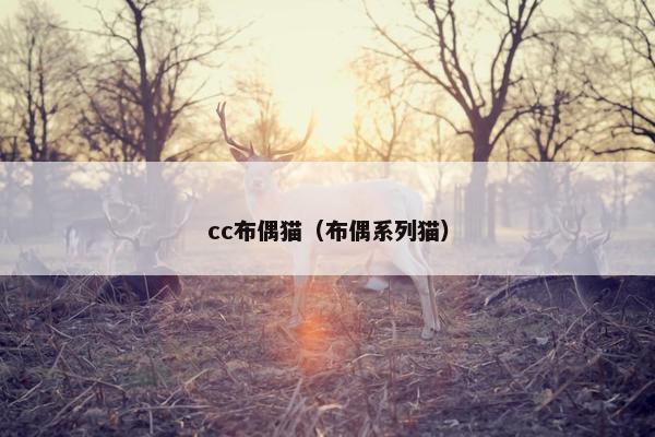 cc布偶猫（布偶系列猫）
