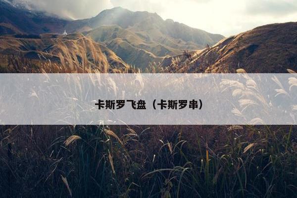 卡斯罗飞盘（卡斯罗串）