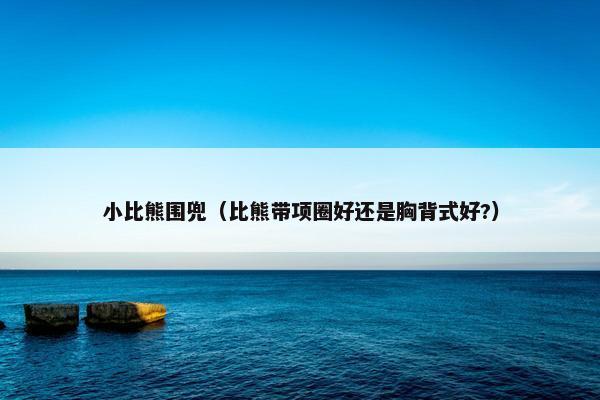 小比熊围兜（比熊带项圈好还是胸背式好?）