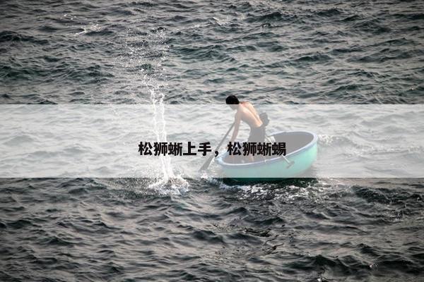 松狮蜥上手，松狮蜥蜴