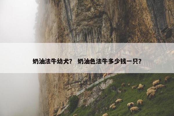 奶油法牛幼犬？ 奶油色法牛多少钱一只？