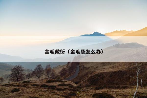 金毛敷衍（金毛怂怎么办）