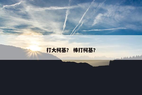 打大柯基？ 棒打柯基？