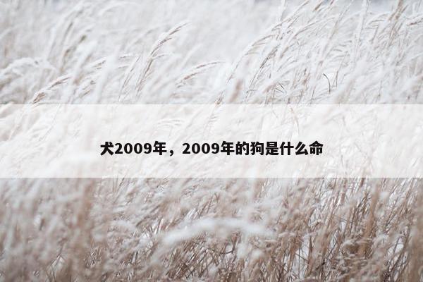 犬2009年,2009年的狗是什么命 犬2009年,2009年的狗是什么命