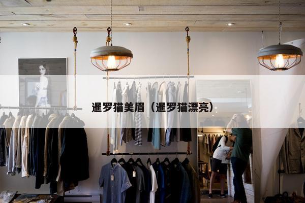 暹罗猫美眉（暹罗猫漂亮）