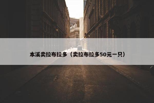 本溪卖拉布拉多（卖拉布拉多50元一只）