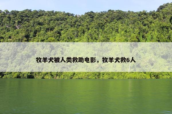 牧羊犬被人类救助电影，牧羊犬救6人