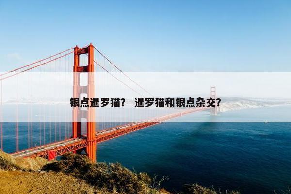 银点暹罗猫？ 暹罗猫和银点杂交？