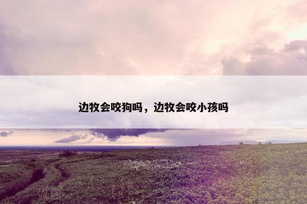 边牧会咬狗吗，边牧会咬小孩吗