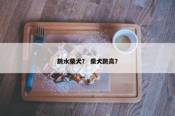 跳水柴犬？ 柴犬跳高？