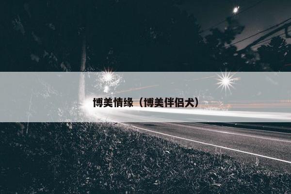 博美情缘（博美伴侣犬）