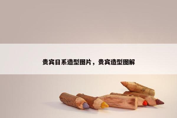 贵宾日系造型图片，贵宾造型图解