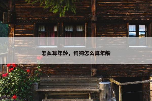 怎么算年龄，狗狗怎么算年龄