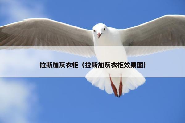 拉斯加灰衣柜（拉斯加灰衣柜效果图）