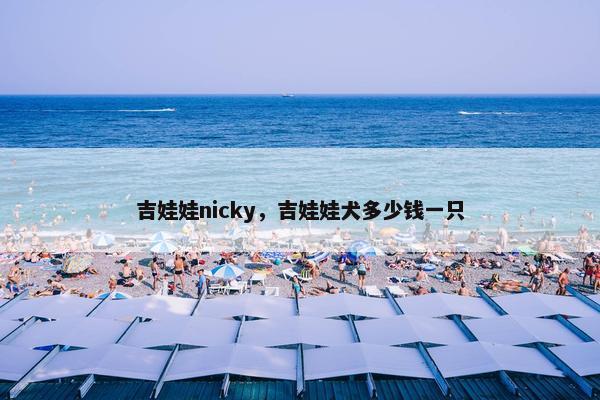 吉娃娃nicky，吉娃娃犬多少钱一只