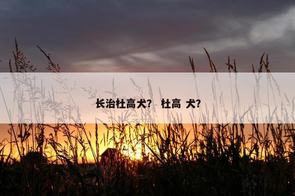 长治杜高犬？ 杜高 犬？