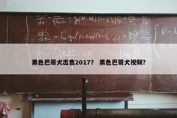 黑色巴哥犬出售2017？ 黑色巴哥犬视频？