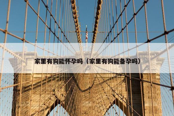 家里有狗能怀孕吗（家里有狗能备孕吗）