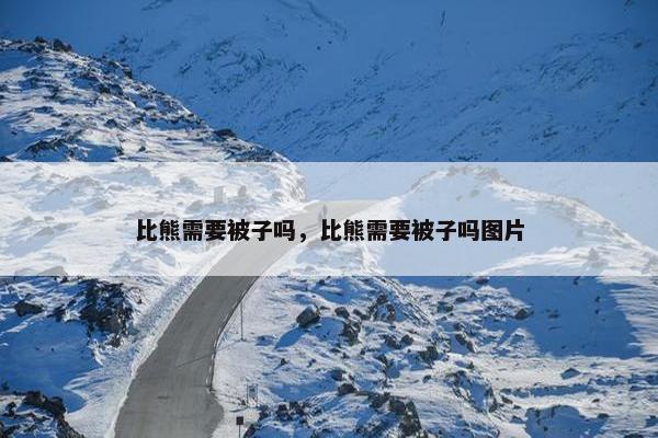 比熊需要被子吗，比熊需要被子吗图片