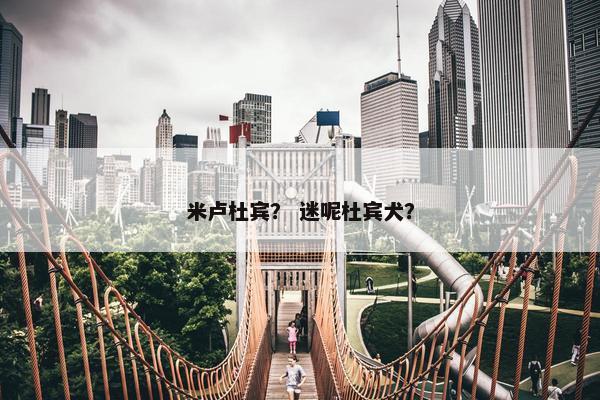 米卢杜宾？ 迷呢杜宾犬？