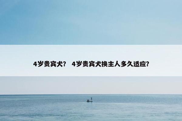 4岁贵宾犬？ 4岁贵宾犬换主人多久适应？