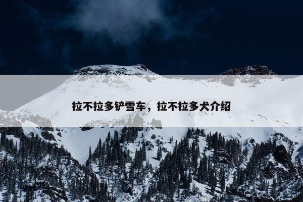 拉不拉多铲雪车，拉不拉多犬介绍
