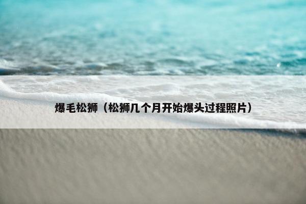 爆毛松狮（松狮几个月开始爆头过程照片）