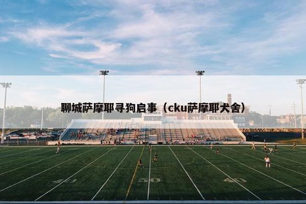 聊城萨摩耶寻狗启事（cku萨摩耶犬舍）