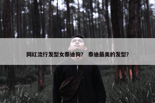 网红流行发型女泰迪狗？ 泰迪最美的发型？