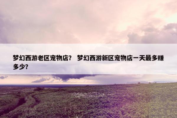 梦幻西游老区宠物店？ 梦幻西游新区宠物店一天最多赚多少？