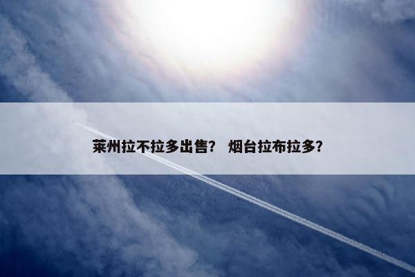 莱州拉不拉多出售？ 烟台拉布拉多？