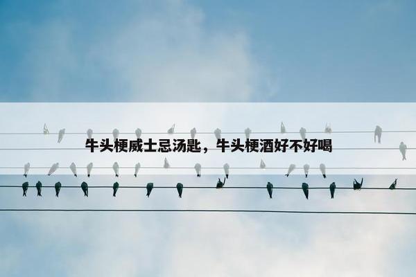 牛头梗威士忌汤匙，牛头梗酒好不好喝