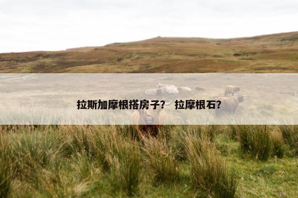 拉斯加摩根搭房子？ 拉摩根石？