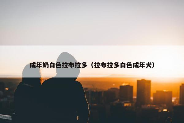 成年奶白色拉布拉多（拉布拉多白色成年犬）