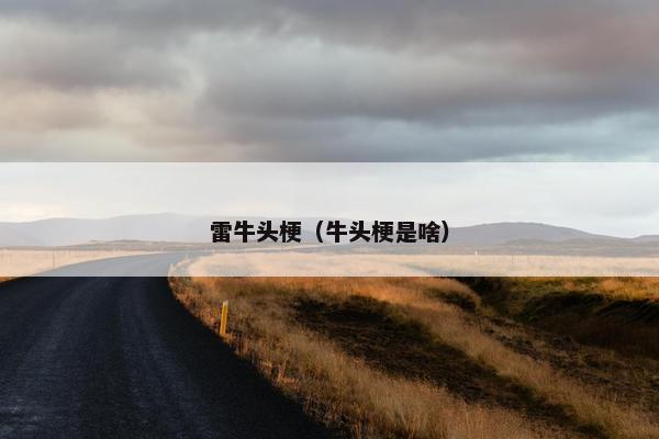 雷牛头梗（牛头梗是啥）