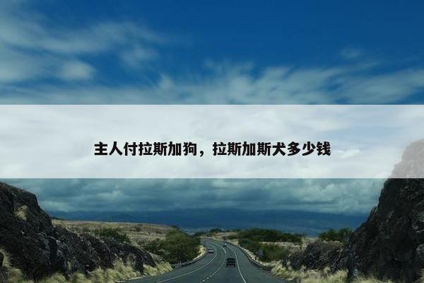 主人付拉斯加狗,拉斯加斯犬多少钱 主人付拉斯加狗,拉斯加斯犬多少钱