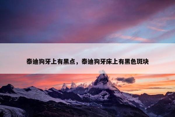 泰迪狗牙上有黑点，泰迪狗牙床上有黑色斑块